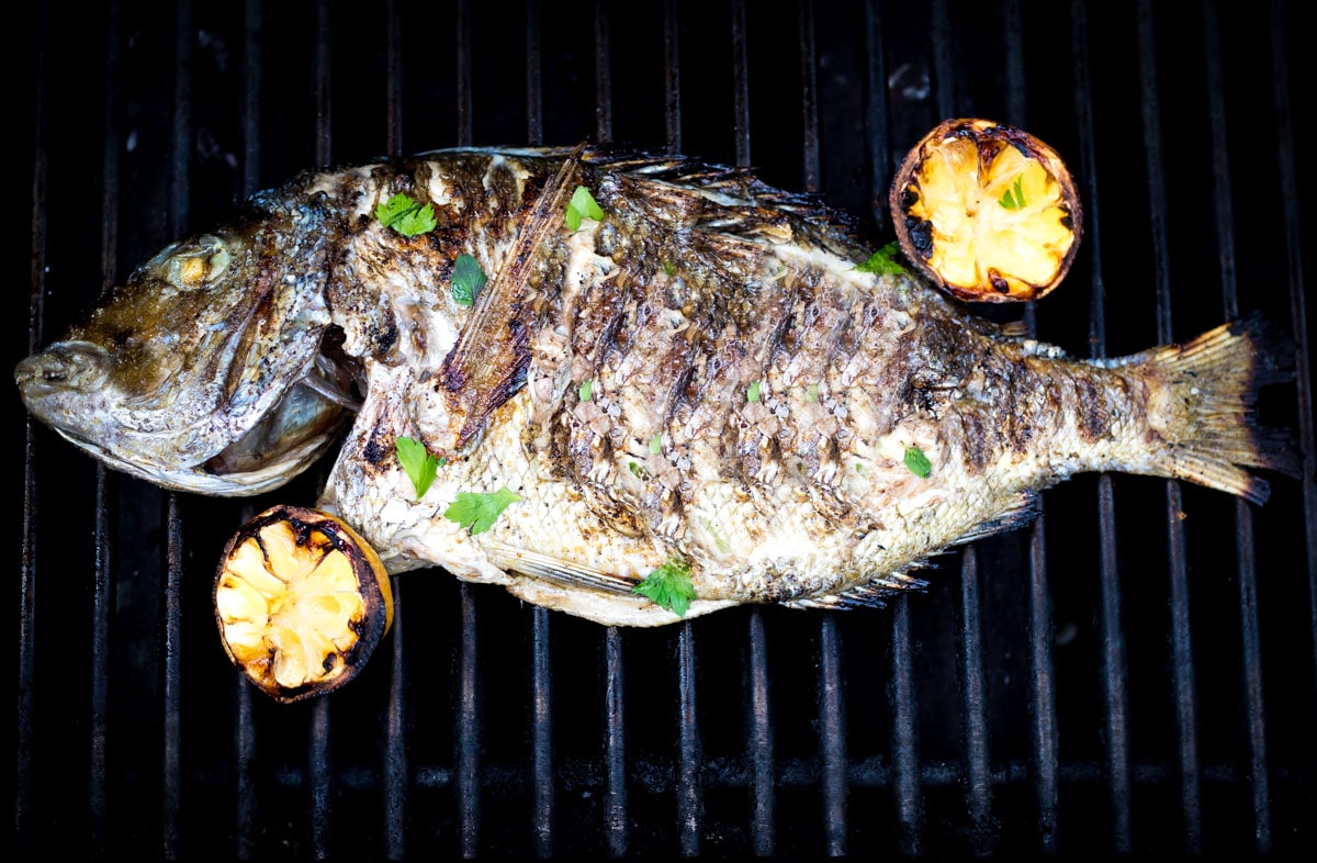 Grilling is one of the best ways to prepare freshly caught whole fish. This tasty fish is seasoned with garlic oil, grilled until perfectly flaky, and finished with herbs and charred lemon juice. 