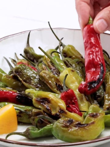 Pan roasted shishito pepper being lifted from a plate of peppers