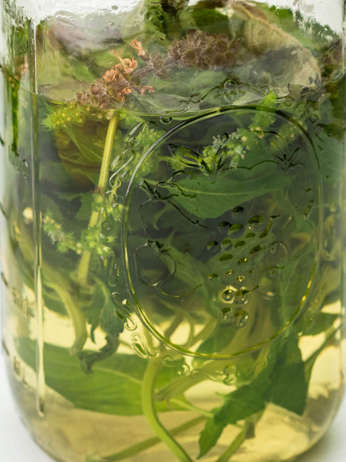Steep tulsi leaves in hot water in a mason jar to make a tea.