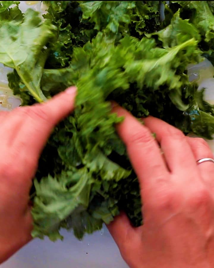 Crispy baked kale chips • We Count Carbs