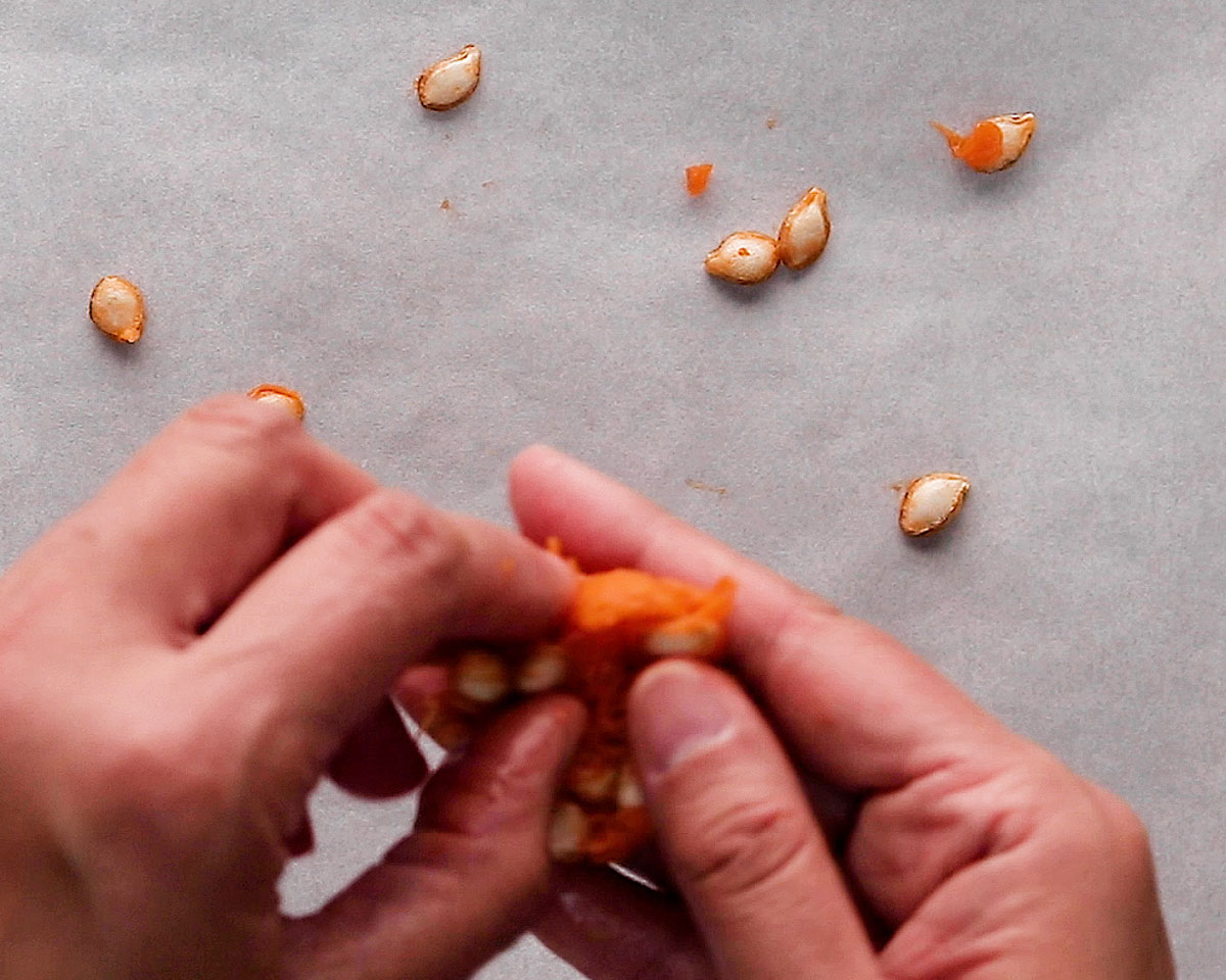 Roasting honeynut squash seeds Step 2: Separate seeds from pulp onto a baking sheet.