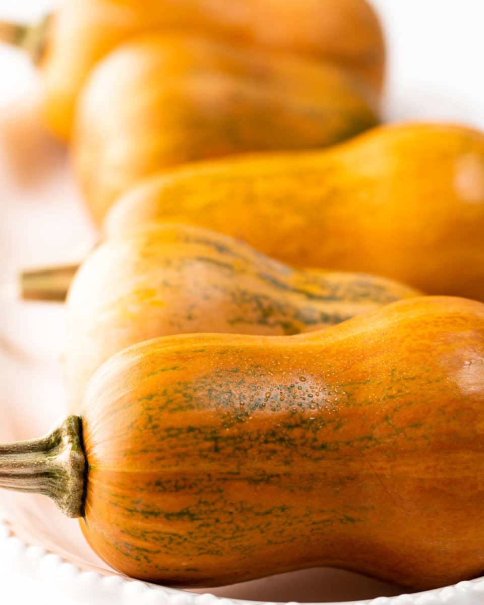 Roasted honeynut squash • We Count Carbs