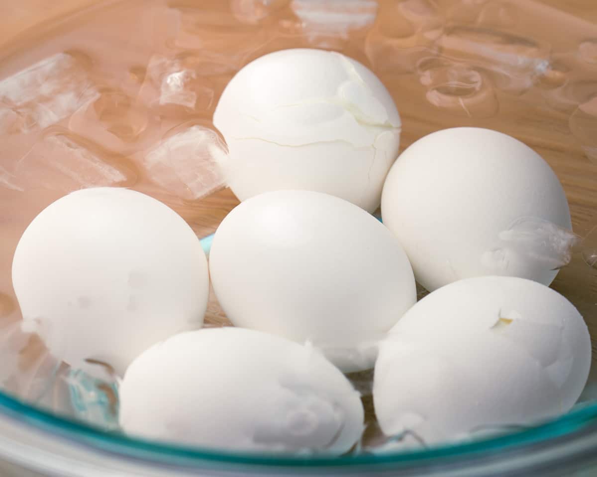 Steamed hard boiled eggs chilling in ice water bath