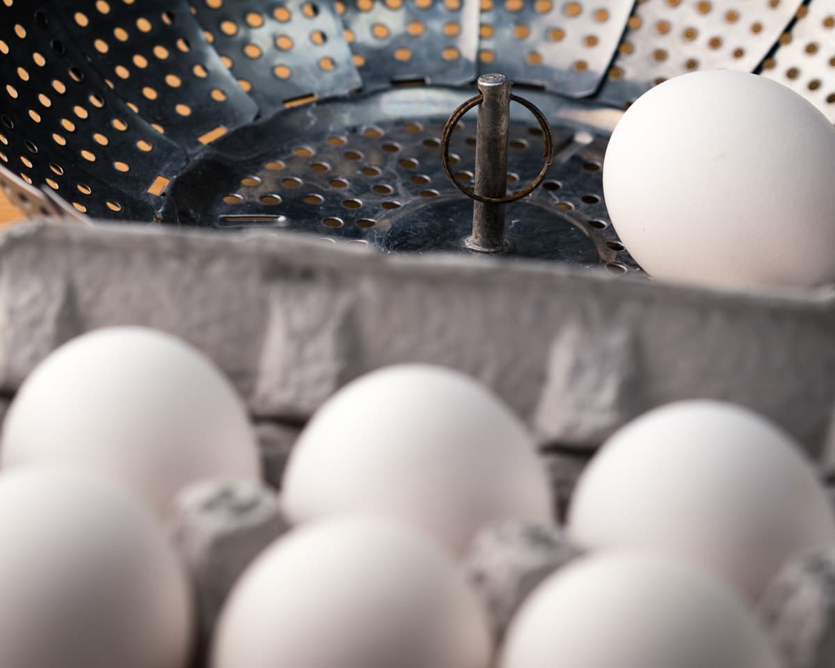 Raw white eggs in steamer basket