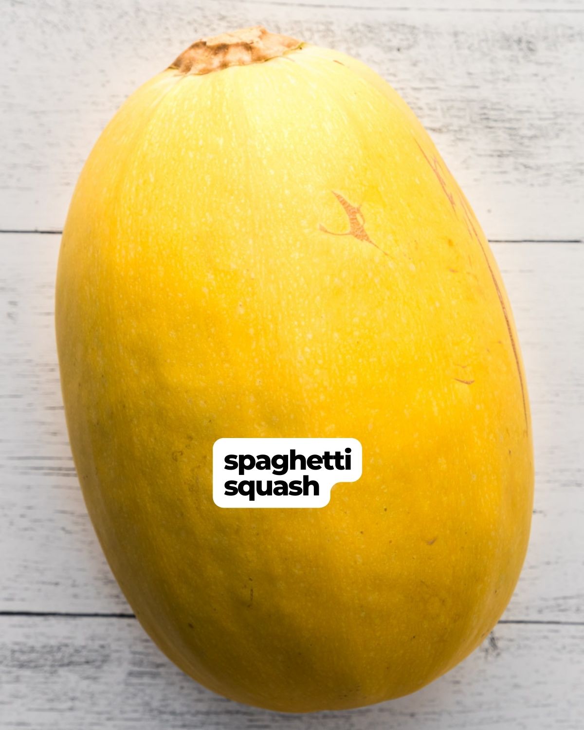Just a whole uncooked spaghetti squash labeled as the ingredient