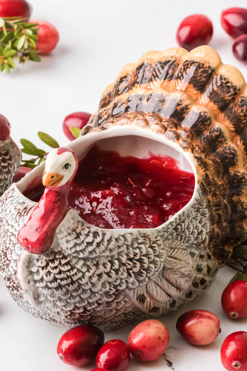 Keto Cranberry Sauce served in a turkey character bowl